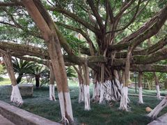 -广东温泉宾馆