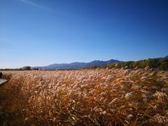 -野鸭湖国家湿地公园