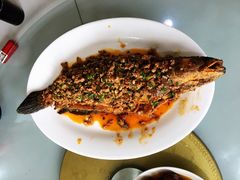 干烧鱼-良泉足疗