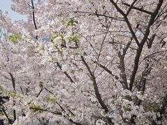 -麦当劳(世纪汇广场店)