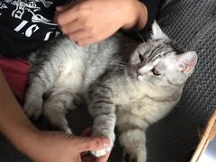 -瑞鹏宠物医院·骨科·猫科·内科(第一中心)