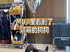 -中粮·祥云小镇