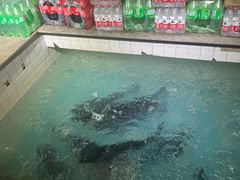 -旭龙鱼头王(航华店)