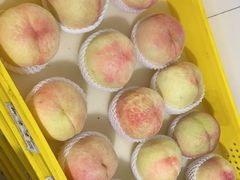 -老袁家蜜桃农场·阳山水蜜桃