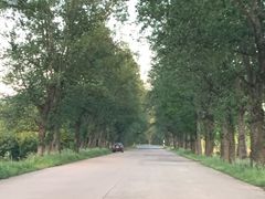-上海报业大厦