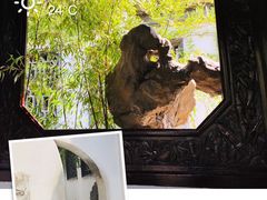-何园