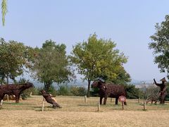 -北京西山国家森林公园