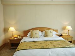 -南京维景国际大酒店(南京博物院店)