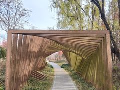 -昆山城市生态森林公园