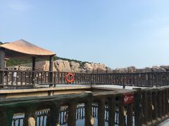 -广东惠东海龟国家级自然保护区