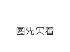 -中国石油加油站(漕宝路店)