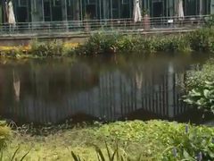 -西湖风景区-江洋畈生态公园