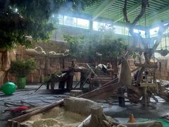 -泉州海丝野生动物世界