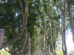 -南京航空航天大学(明故宫校区)