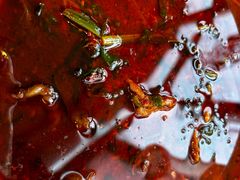 -幺妹川菜(民和路店)