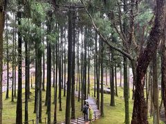 -玉苍山国家森林公园