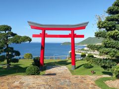 -芽庄珍珠岛游乐园