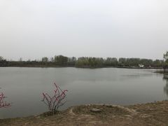 -东郊湿地公园