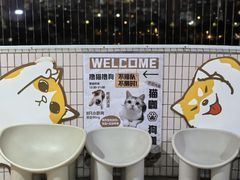 -有喵·猫咖·狗咖·40+猫狗有小奶狗(岗厦店)