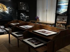 -MaisonJoseph家具买手店(滨江店)