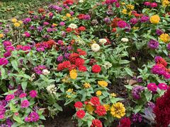 -朝阳公园游乐园