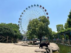 -常州淹城野生动物世界