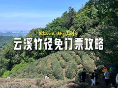 -十里琅珰