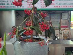 -莒县世起全羊馆(塔桥人家店)