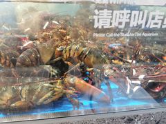 -盒马鲜生(富田新天地店)
