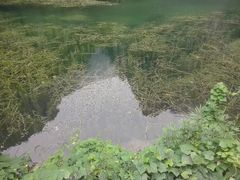 -焦作青龙峡风景名胜区