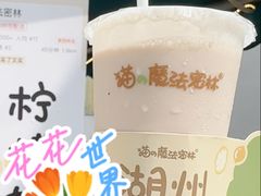-猫的魔法密林(衣裳街店)
