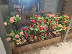 -悦海·家宴·冰花皮皮虾大锅贴(宝龙店)