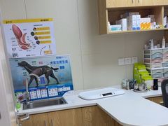 -爱佳宠物中心医院24H·CT·骨外科·猫专科(瑶海万达店)