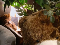 -咖法森林·咖啡  酒吧(天河店)