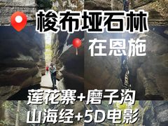 -梭布垭石林景区