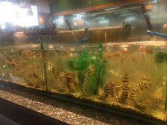 -Isla Sugbu Seafood City