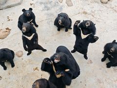 -青峰峡国家森林公园