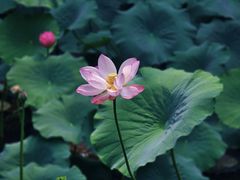 -长广溪湿地公园