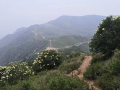 -阳台山自然风景区