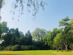 -西湖外事游船(花港观鱼码头)