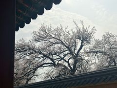 -景福宫