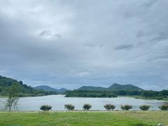 -风云岭森林公园