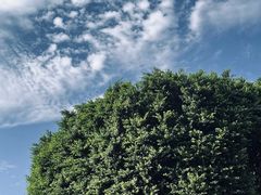 -星巴克(福州三坊七巷店)