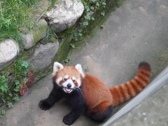 -西安秦岭野生动物园