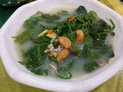 上汤桑叶-姚林轩