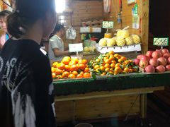 -港华水果街(港华广场店)