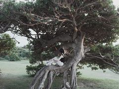 景点-鹅銮鼻灯塔