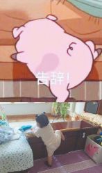 -丝域养发馆