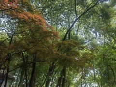 -天目湖山水园