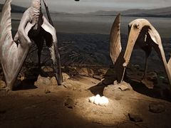 -贝林大翅鲸简餐厅(国家海洋博物馆店)